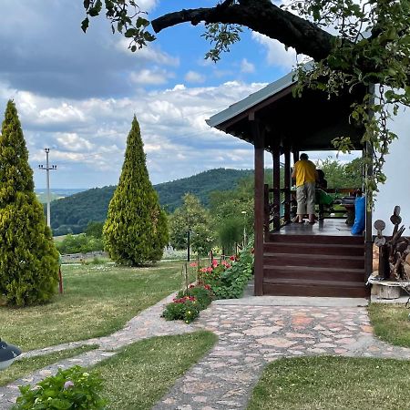 Etno Selo Moj Zavicaj Villa Gornji Milanovac Exteriör bild