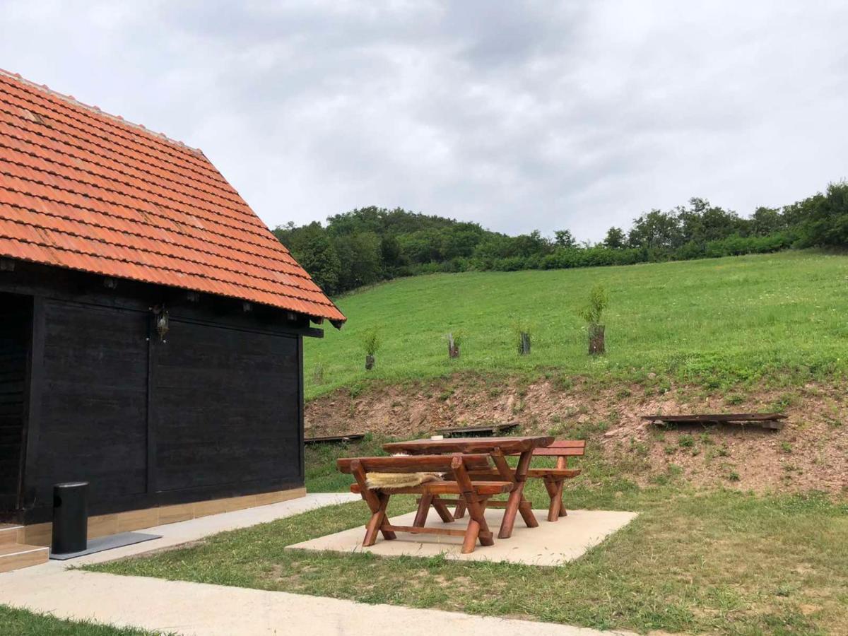Etno Selo Moj Zavicaj Villa Gornji Milanovac Exteriör bild