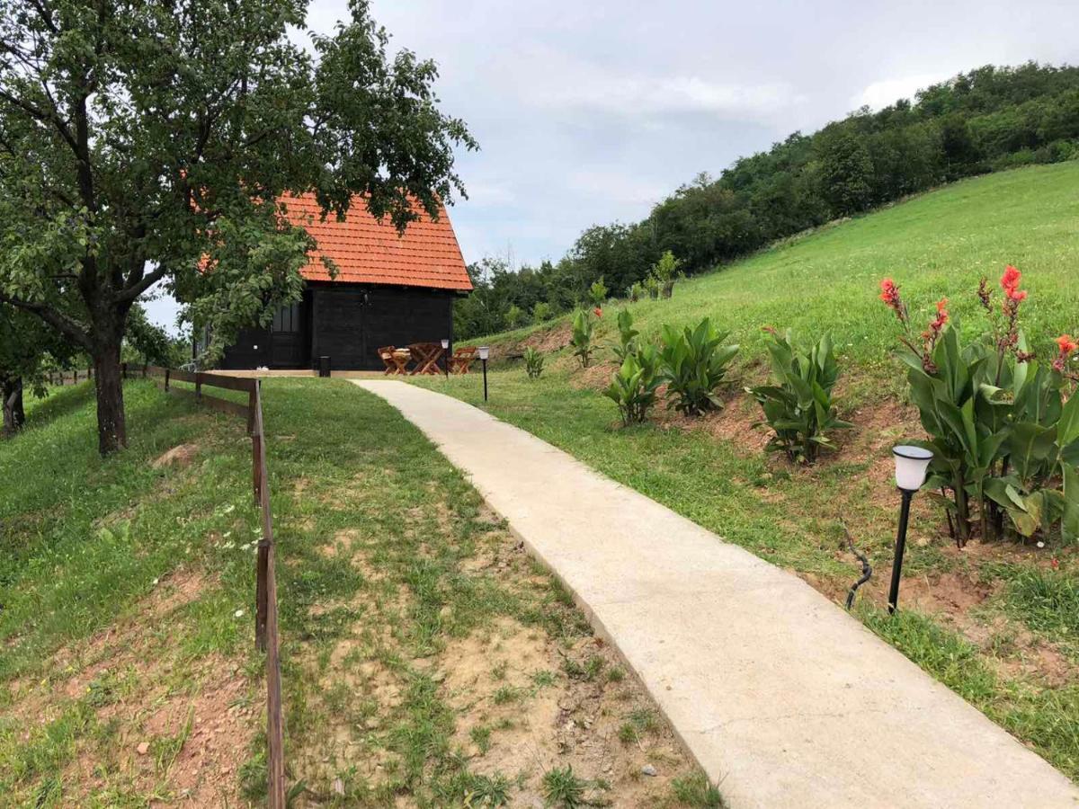 Etno Selo Moj Zavicaj Villa Gornji Milanovac Exteriör bild