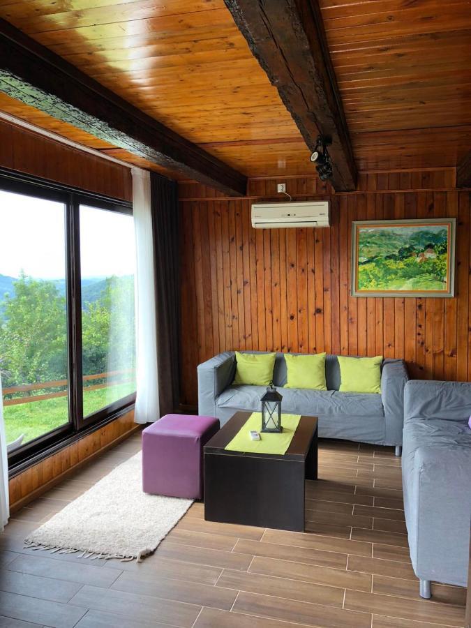 Etno Selo Moj Zavicaj Villa Gornji Milanovac Exteriör bild
