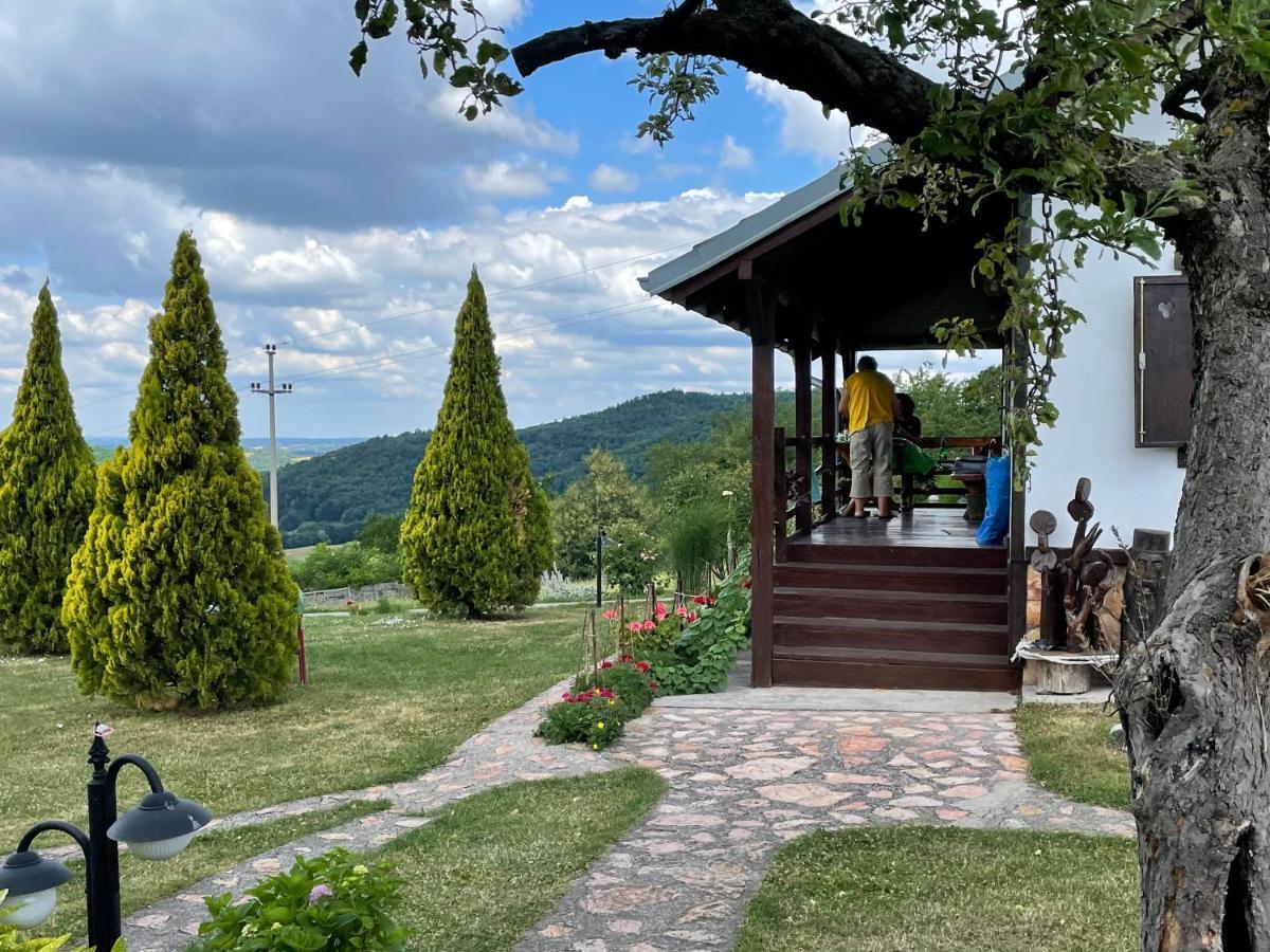 Etno Selo Moj Zavicaj Villa Gornji Milanovac Exteriör bild