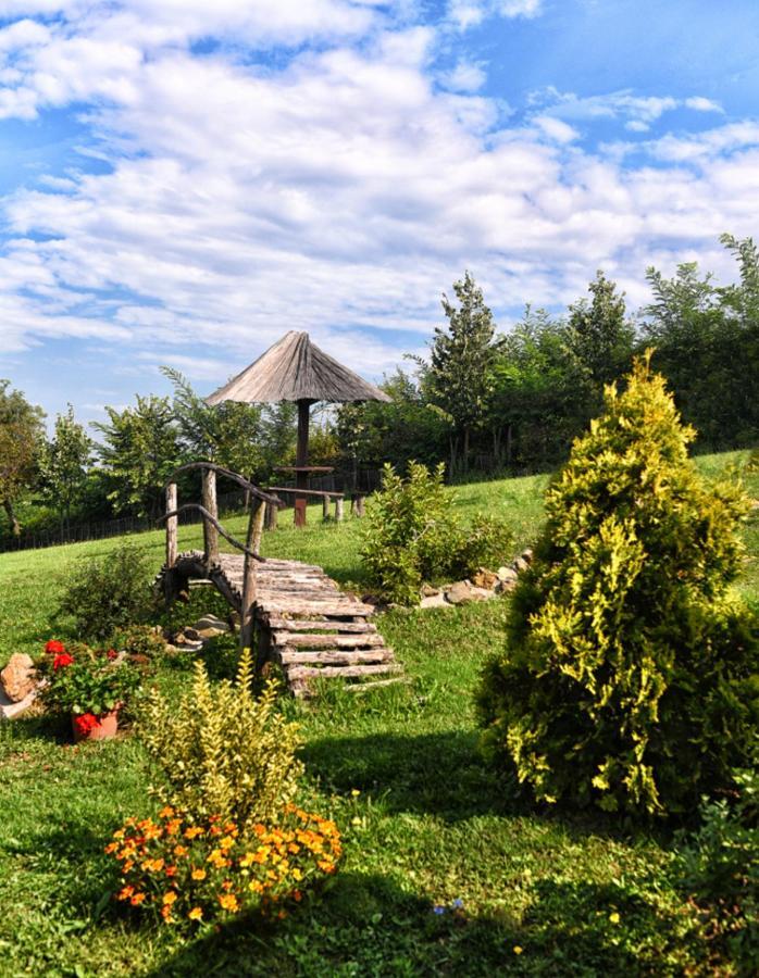 Etno Selo Moj Zavicaj Villa Gornji Milanovac Exteriör bild