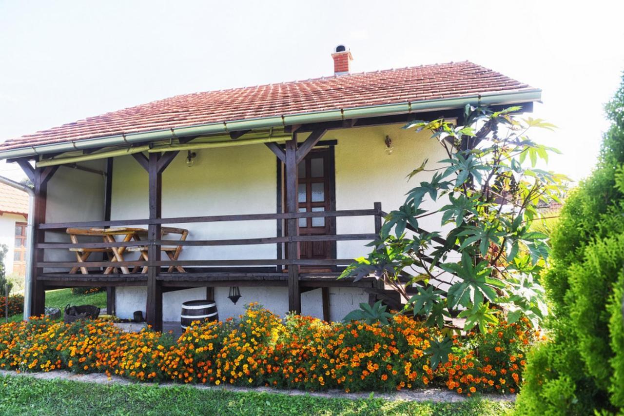 Etno Selo Moj Zavicaj Villa Gornji Milanovac Exteriör bild